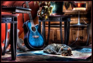 cat & guitar