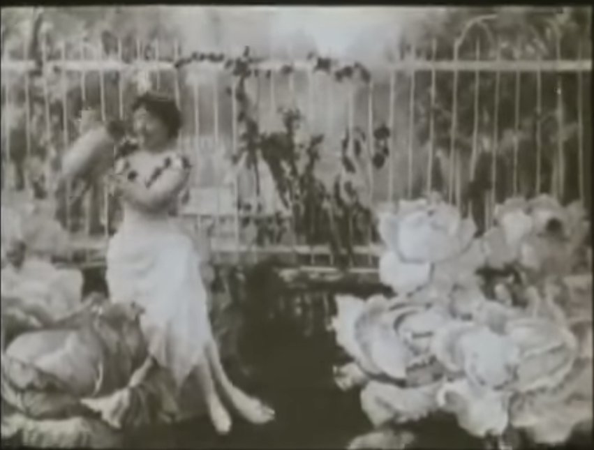 Cabbage Fairy. 1896. Guy-Blaché.