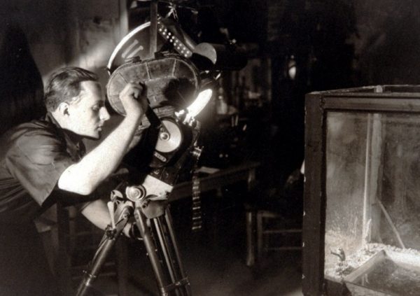 The Criterion Channel: A Cinephile’s Dream Shared