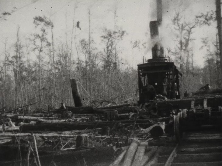 Loughman, Florida. Loading logs onto a train car in 1928.